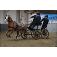IMGB54393.JPG