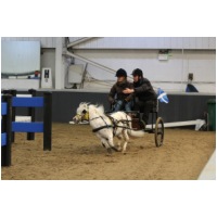 IMGC02521.JPG