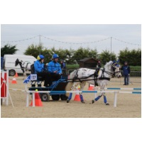 IMGC02847.JPG