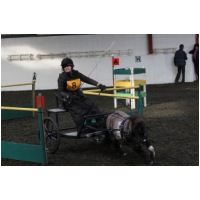 IMGC02003.JPG