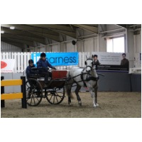 IMGC11108.JPG