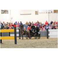 IMGC11487.JPG