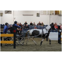 IMGC11612.JPG