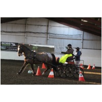 IMGC09548.JPG
