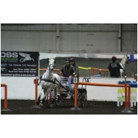 IMGC08775.JPG