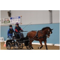 IMGC14895.JPG