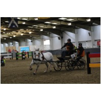 IMGC15483.JPG