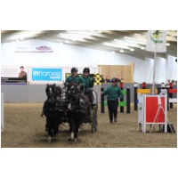 IMGC15699.JPG