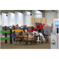 IMGC15716.JPG
