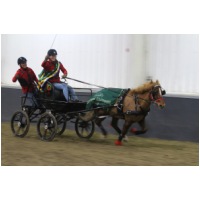 IMGC16327.JPG