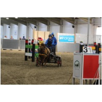 IMGC16444.JPG