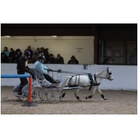 IMGC14837.JPG