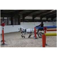 IMGC14662.JPG
