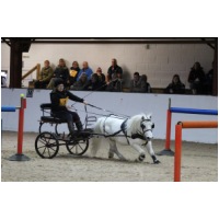 IMGC14024.JPG
