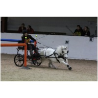 IMGC14026.JPG