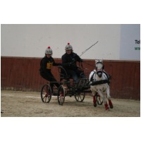 IMGD01744.JPG