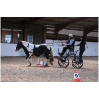 IMGD01392.JPG