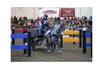 IMGD11226.JPG