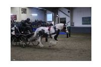 IMGD11578.JPG