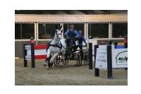IMGD18329.JPG