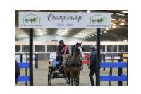 IMGD19433.JPG
