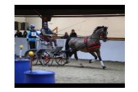 IMGD17316.JPG