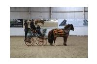 IMGD20624.JPG
