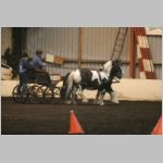 IMG_1551.jpg