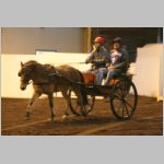 IMG_1395.jpg
