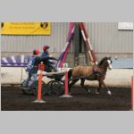 IMG_3119.jpg