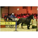 IMG_5346.jpg