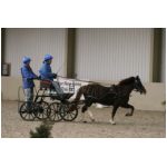 IMG_4692.jpg