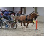 IMG_5948.jpg