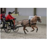 IMG_5959.jpg