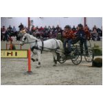 IMG_5998.jpg