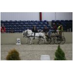 IMG_4942.jpg