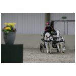 IMG_4967.jpg
