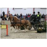 IMG_6031.jpg