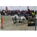 IMG_6094.jpg