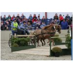 IMG_6115.jpg
