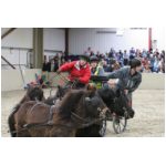 IMG_5857.jpg