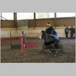 IMG_0868.jpg