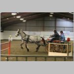 IMG_2884.jpg