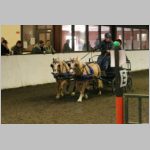 IMG_2925.jpg