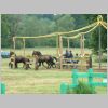 DSCF0132.JPG